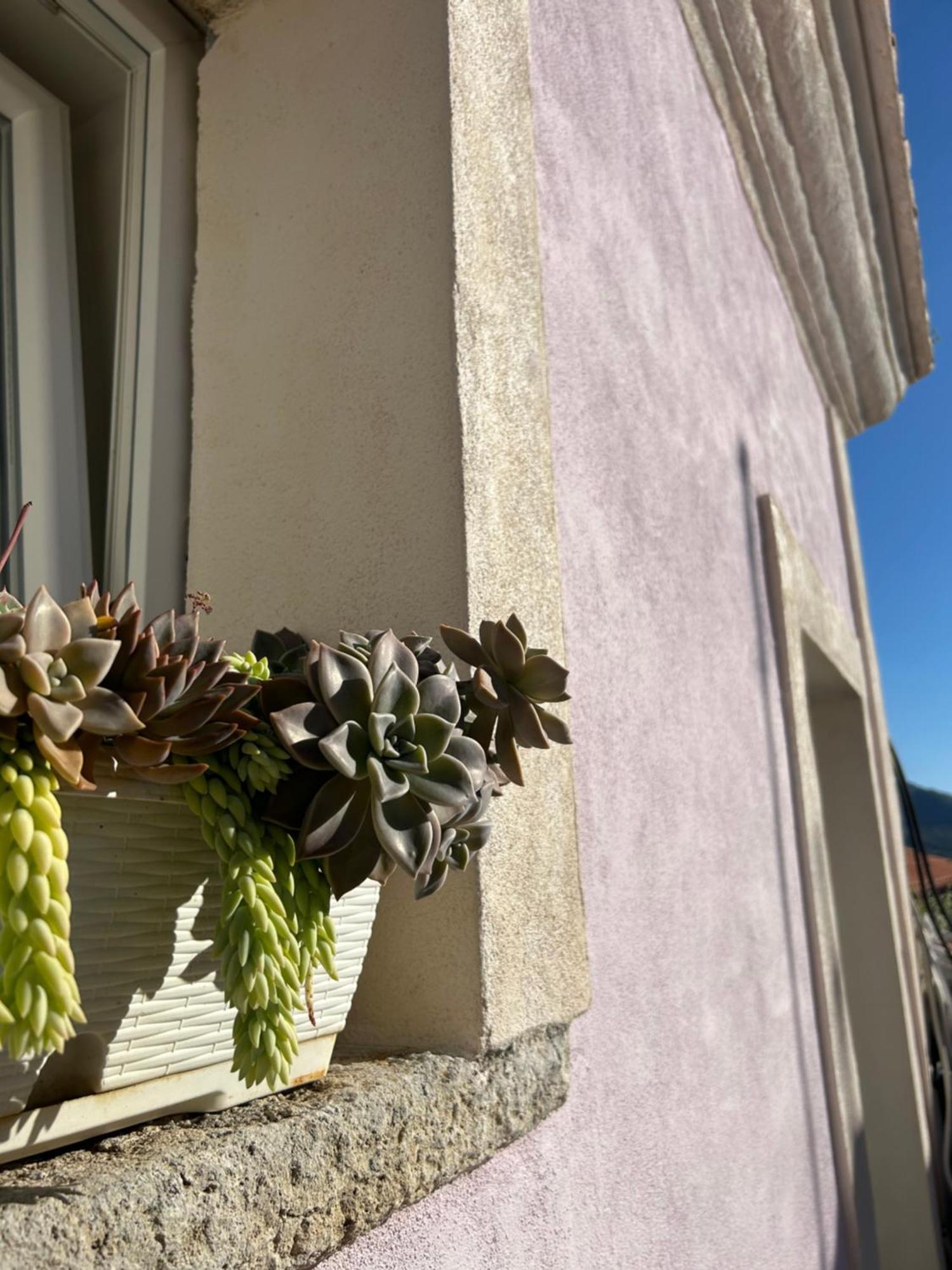 B&B Casa Camilory San Lucido Exteriör bild